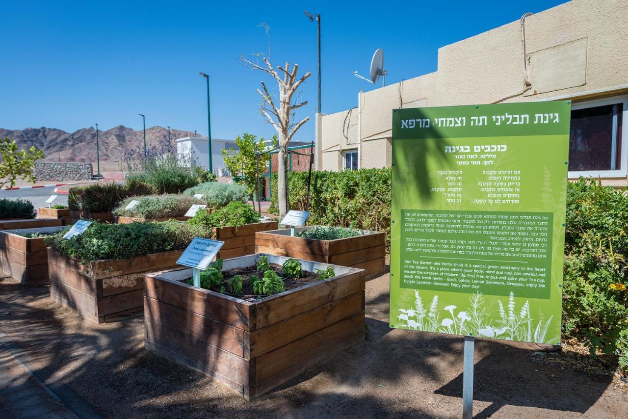 Eilot Kibbutz Country Lodging Eilat Esterno foto